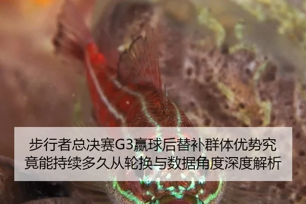 步行者总决赛G3赢球后替补群体优势究竟能持续多久从轮换与数据角度深度解析