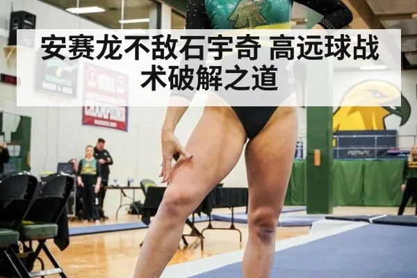 安赛龙不敌石宇奇 高远球战术破解之道